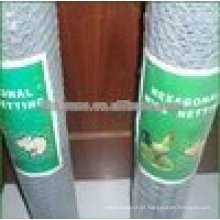 Hot Sale 1 X 25m Rabbit Wire Netting/Chicken Green Mesh Fence